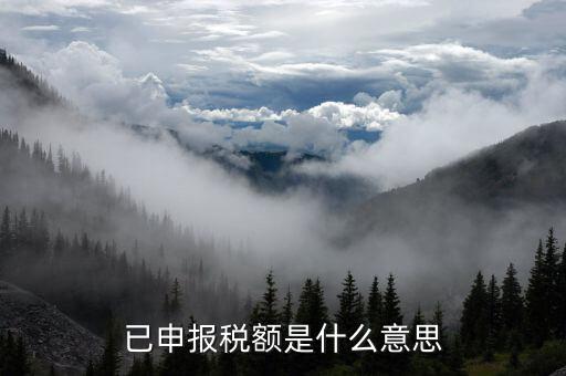 武漢稅務(wù)年報(bào)是什么意思，報(bào)告年度所得稅什么意思