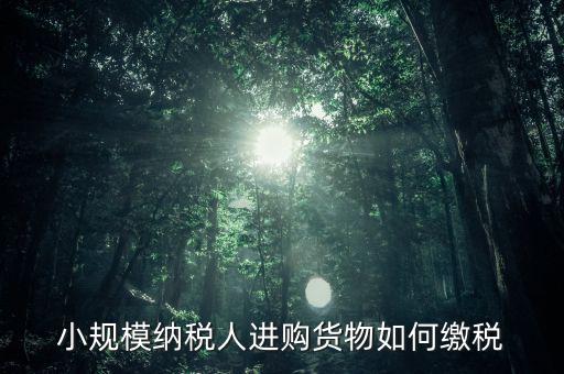 小規(guī)模納稅人如何交稅，小規(guī)模納稅人進(jìn)購(gòu)貨物如何繳稅