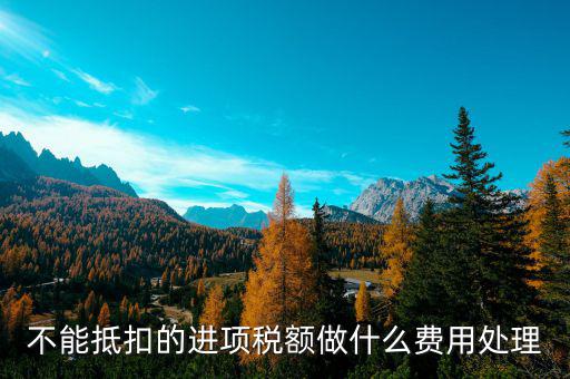 進(jìn)項(xiàng)稅不讓抵扣后如何處理，不能抵扣的進(jìn)項(xiàng)稅額做什么費(fèi)用處理