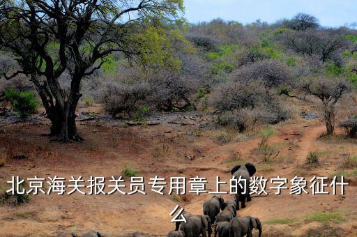 報(bào)關(guān)專用章數(shù)字是什么意思，報(bào)關(guān)專用章上面有一串?dāng)?shù)字是什么意思