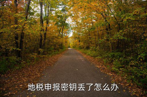 武漢地稅密鑰如何補(bǔ)辦，地稅報(bào)稅key掉了補(bǔ)辦需要什么手續(xù)要多少錢(qián)