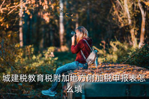新城建稅附加表如何填，網(wǎng)上申報(bào)城建稅教育附加稅怎么填