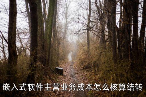 嵌入式軟件成本如何確定，嵌入式軟件主營(yíng)業(yè)務(wù)成本怎么核算結(jié)轉(zhuǎn)