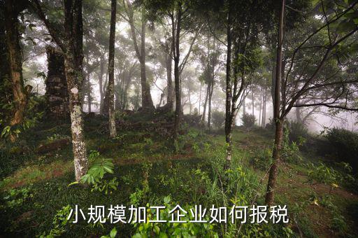 小規(guī)模企業(yè)如何報(bào)稅，小規(guī)模的企業(yè)怎么報(bào)稅的