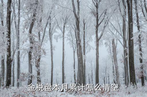 金稅盤如何清稅盤，金稅盤如何清卡解鎖