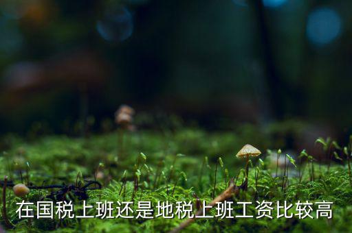 地稅局發(fā)展如何，我要考天津稅務(wù)局想問市區(qū)各地稅局和濱海地稅一分局哪個(gè)好呢