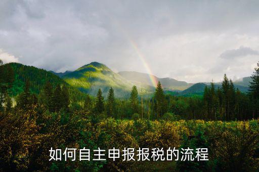 如何進行稅務(wù)申報，個體戶如何申報稅