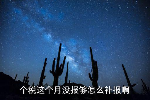 如何補報個人所得稅，個人所得稅報錯了怎么補報