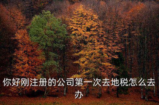 新辦企業(yè)如何辦地稅，新辦企業(yè)去地稅報道需要帶什么手續(xù)