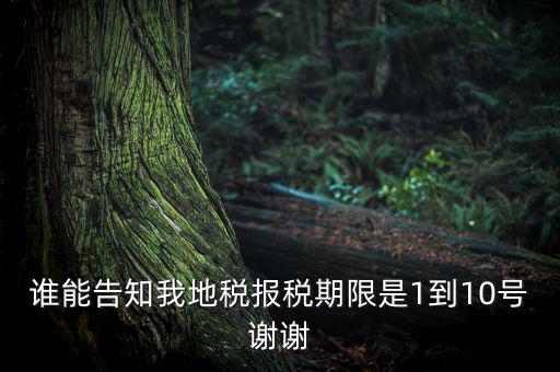 地稅的報(bào)稅期是什么時(shí)候，地稅中的年度財(cái)務(wù)報(bào)表申報(bào)期限是什么時(shí)候