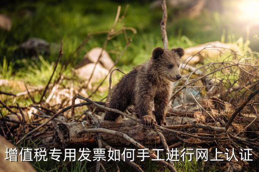 如何手工認(rèn)證發(fā)票，網(wǎng)上發(fā)票認(rèn)證怎么手工輸入