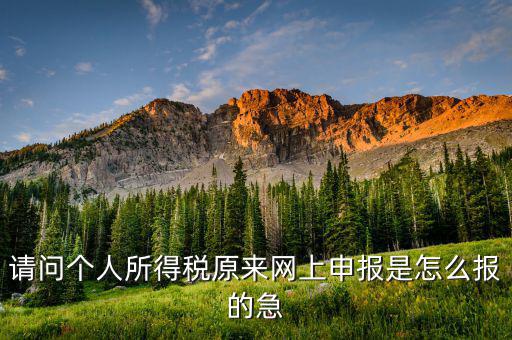 個人所得稅如何網(wǎng)上申報，個人所得稅網(wǎng)上申報流程