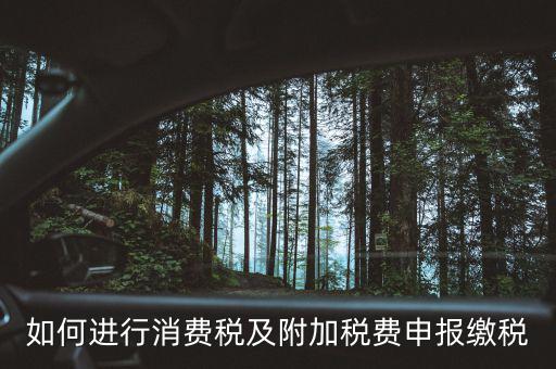 附加稅如何才能申報(bào)，如何進(jìn)行消費(fèi)稅及附加稅費(fèi)申報(bào)繳稅