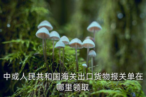 出口報(bào)關(guān)單如何取得，中或人民共和國(guó)海關(guān)出口貨物報(bào)關(guān)單在哪里領(lǐng)取