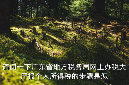 廣州地稅如何網(wǎng)上申報(bào)，想請(qǐng)教如何辦理廣州地稅網(wǎng)上申報(bào)