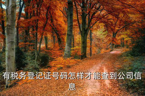 如何查詢公司稅務(wù)信息，怎么用稅證號碼查詢企業(yè)信息