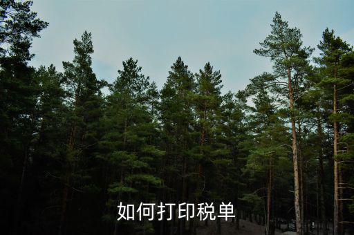 公司稅單如何查詢打印，關(guān)于公司稅單打印問題
