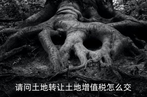 土地增值稅如何繳納，請問土地轉(zhuǎn)讓土地增值稅怎么交