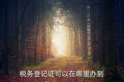 如何辦理稅種登記，辦好營(yíng)業(yè)執(zhí)照后怎么辦理稅務(wù)登記證