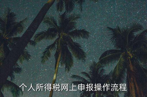 上海個人所得稅如何申報，上海企業(yè)如何交個人所得稅