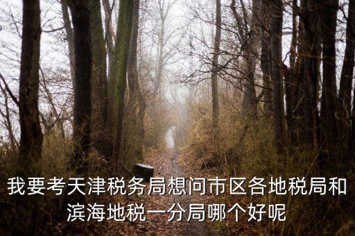 我要考天津稅務局想問市區(qū)各地稅局和濱海地稅一分局哪個好呢
