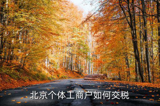 北京個(gè)體如何繳稅，北京個(gè)體戶怎么交稅