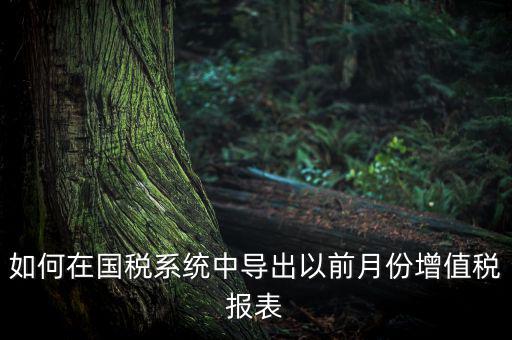 如何導(dǎo)出增值稅申報表，如何在國稅系統(tǒng)中導(dǎo)出以前月份增值稅報表