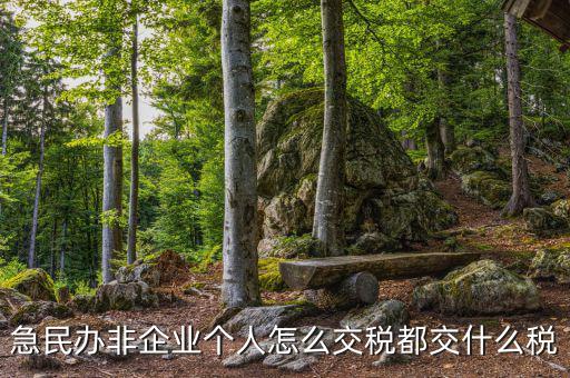 民非企業(yè)如何納稅申報(bào)，民辦非企業(yè)單位如何繳納個(gè)人所得稅