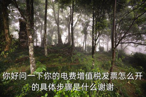 你好問(wèn)一下你的電費(fèi)增值稅發(fā)票怎么開(kāi)的具體步驟是什么謝謝