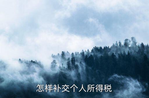 如何補(bǔ)交個(gè)人所得稅，如何用個(gè)人所得稅扣繳系統(tǒng)補(bǔ)繳稅款