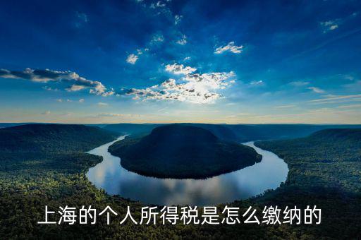 上海個(gè)人所得稅如何繳納，上海個(gè)人所得稅的繳納急