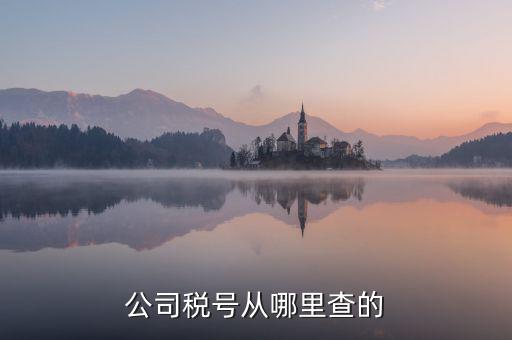 如何查到企業(yè)納稅號，公司稅號從哪里查的