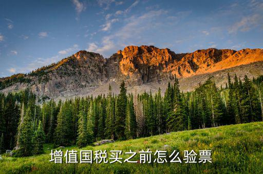稅控盤如何驗票，增值國稅買之前怎么驗票