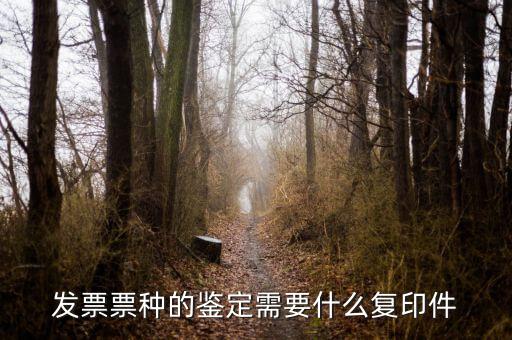 如何做票種認(rèn)定，如何申請(qǐng)發(fā)票票種