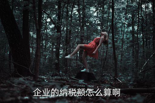 企業(yè)納稅如何計(jì)算，企業(yè)的納稅額怎么算啊