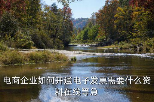 電子發(fā)票如何申領(lǐng)，京東電子發(fā)票如何獲取