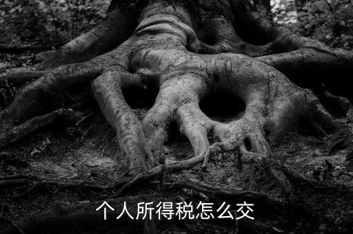 個人所得稅如何繳納，個人所得稅怎么繳納