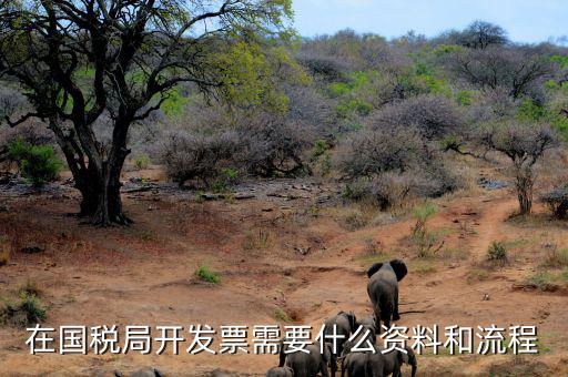 國(guó)稅局批票如何辦理，在國(guó)稅局開(kāi)發(fā)票需要什么資料和流程