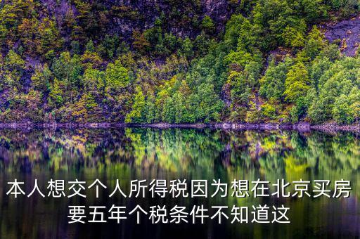 本人想交個人所得稅因?yàn)橄朐诒本┵I房要五年個稅條件不知道這