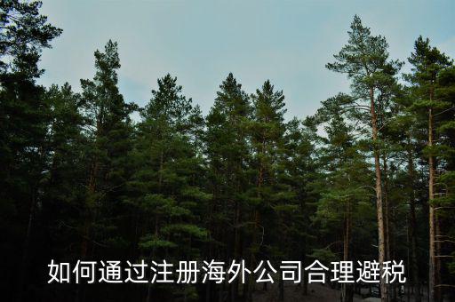 在境外注冊子公司如何避所得稅，離岸公司如何避個稅