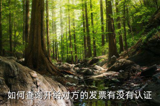 如何查詢發(fā)票認(rèn)證信息查詢，如何查詢開(kāi)給對(duì)方的發(fā)票有沒(méi)有認(rèn)證