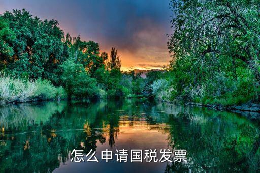 國稅如何申請發(fā)票，如何去國稅局開發(fā)票