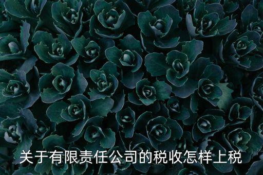 有限責(zé)任公司如何繳稅，有限責(zé)任公司是如何納稅的要繳納的稅種都有哪些