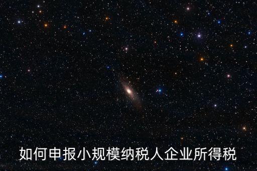 小規(guī)模納稅人如何報(bào)企業(yè)所得稅，如何申報(bào)小規(guī)模納稅人企業(yè)所得稅