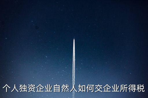 個人獨(dú)資企業(yè)自然人如何交企業(yè)所得稅