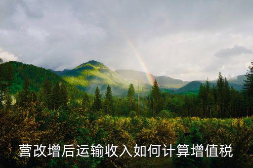 運輸業(yè)增值稅如何計算，道路運輸業(yè)的一般納稅人增值稅如何計算