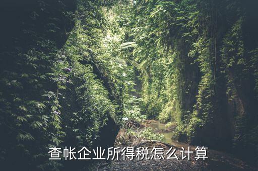 企業(yè)所得稅如何查賬，企業(yè)所得稅計(jì)算 查賬法