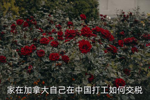 加拿大如何征稅，注冊(cè)加拿大公司怎么報(bào)稅