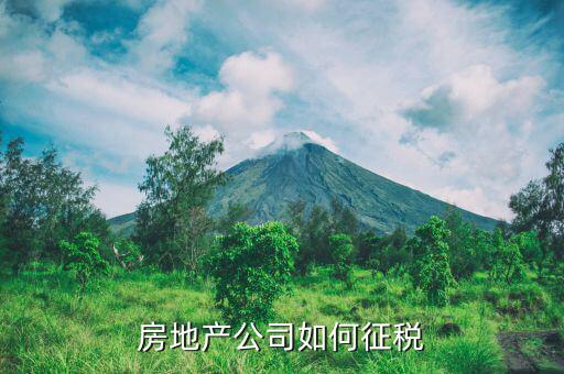 房地產(chǎn)企業(yè)如何繳納房產(chǎn)稅，房地產(chǎn)企業(yè)開發(fā)的商品房如何繳納房產(chǎn)稅