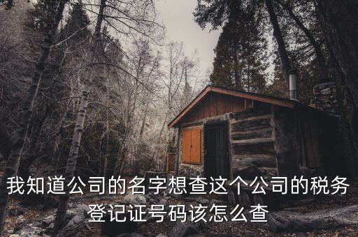 如何查詢稅務登記證號碼，稅務登記號查詢